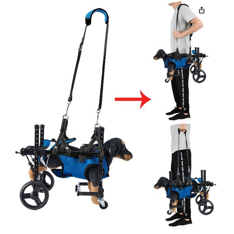 Small Dog Rehabilitation Train - огляд і ціна Outdoor Power Wheels