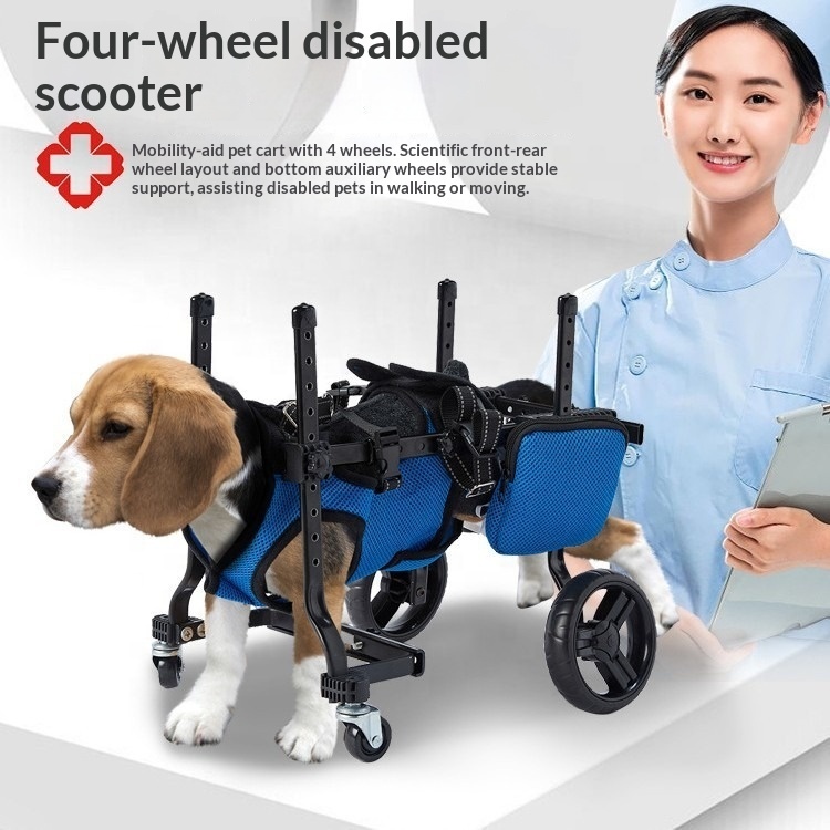 Small Dog Rehabilitation Train - огляд і ціна Outdoor Power Wheels