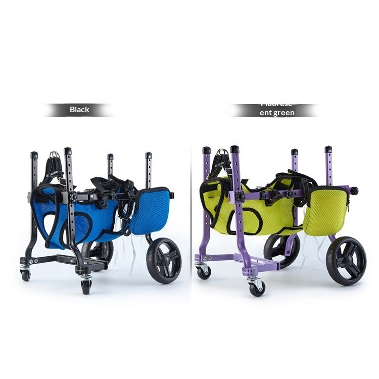 Small Dog Rehabilitation Train - огляд і ціна Outdoor Power Wheels